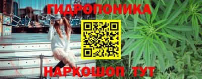 гидра Кинель