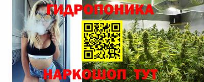 ешки Кингисепп