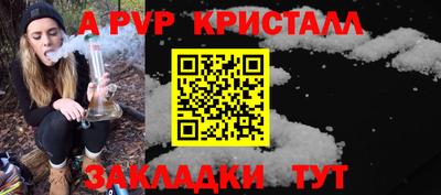 ешки Кингисепп
