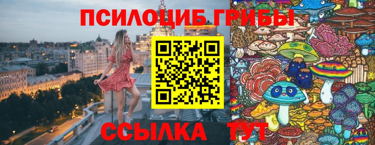 Кузнецк  Псилоцибиновые грибы прущие грибы  Галлюциногенные грибы Magic Shrooms  Вход с VPN 
